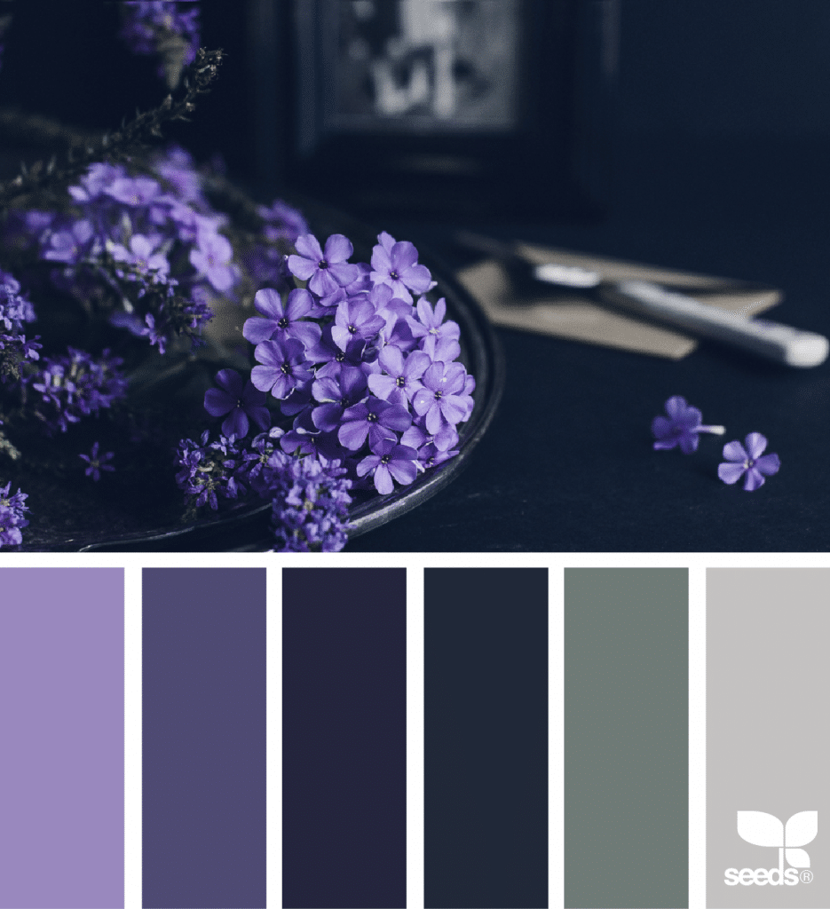 Color That Matches With Purple / The Ultimate Color Combinations Cheat ...