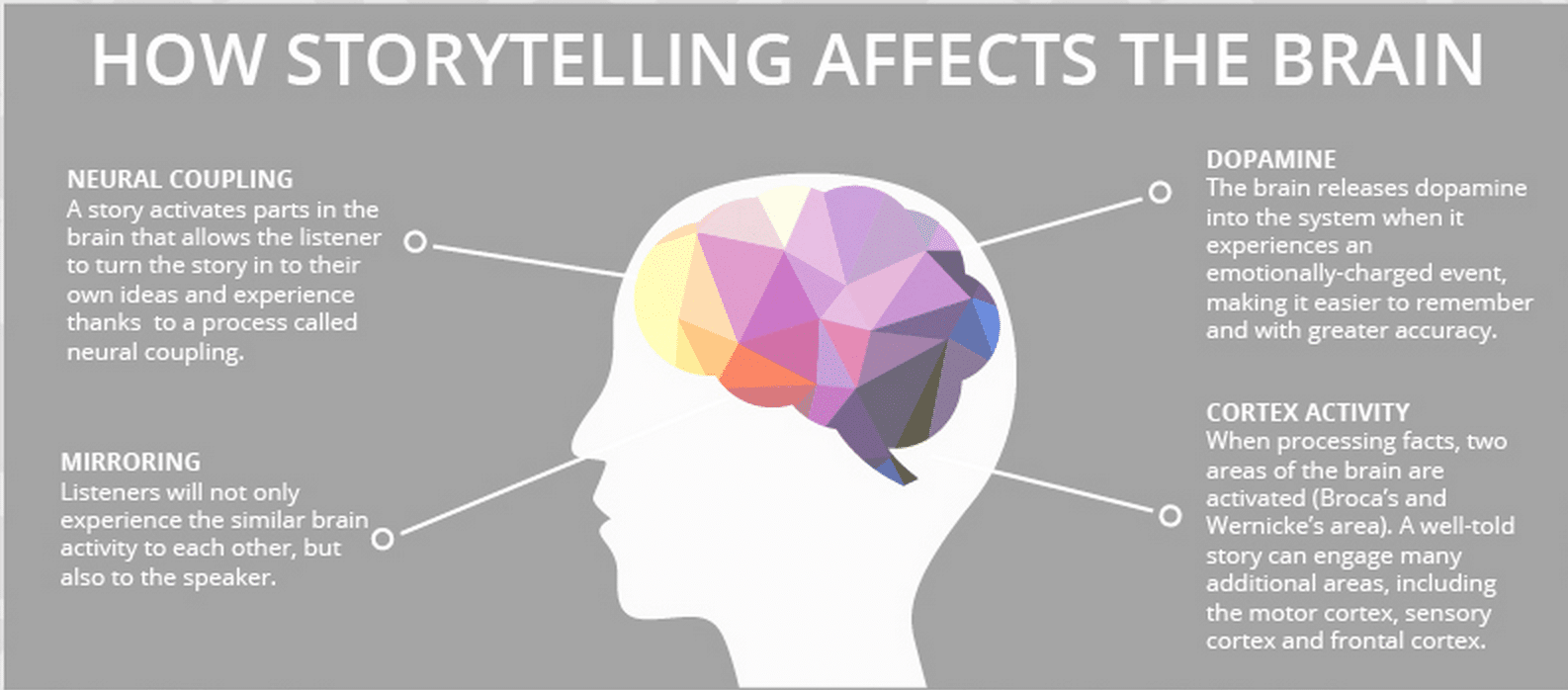 How Storytelling affects the brain