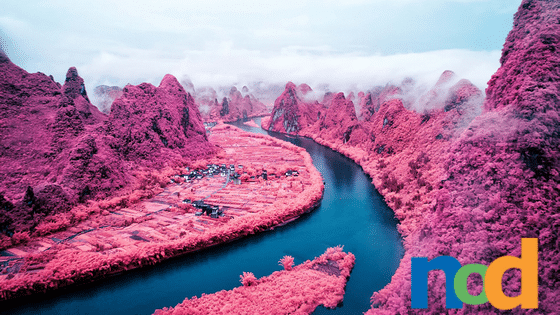 Infrared Photography