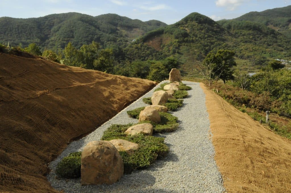 Jiri Mountain Tea Line by Christopher Drury 