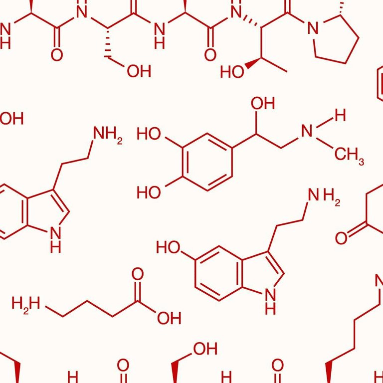 Love Molecules – Aimee Wilder - Sessions College