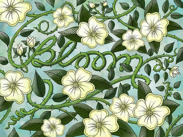 Bloom typography by Paul Green