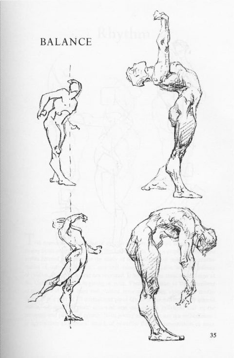 george bridgman drawing the female form