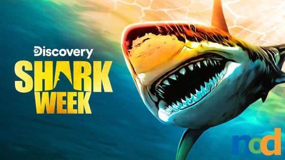 designers-behind-discovery-shark-week-2023