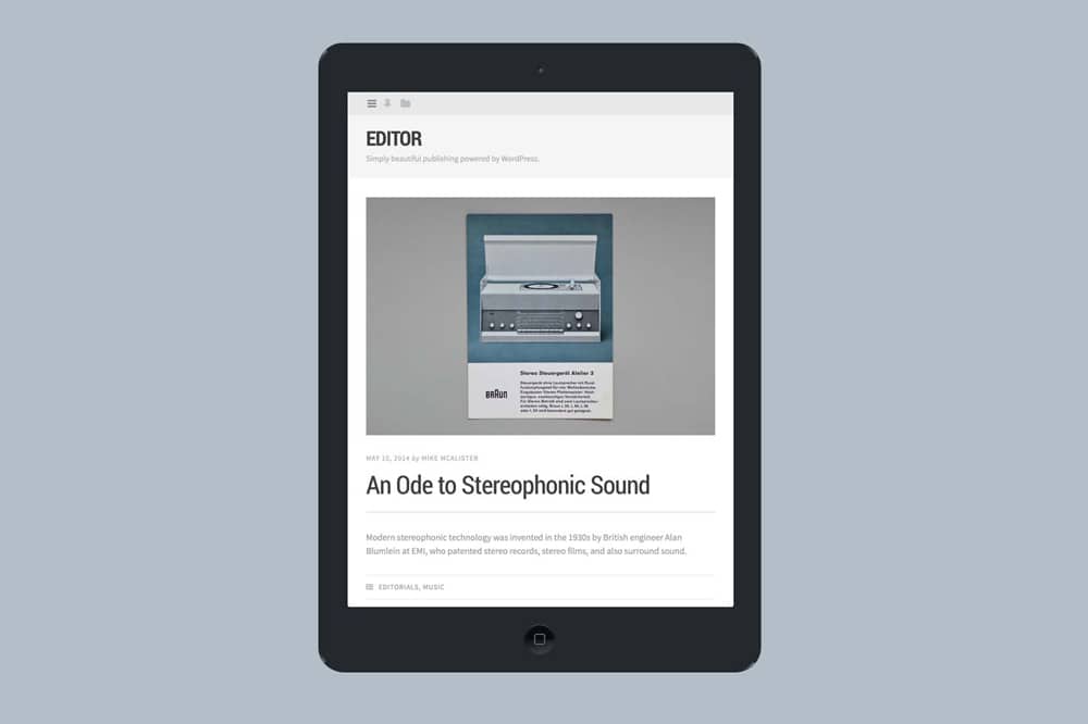 Editor WordPress Theme