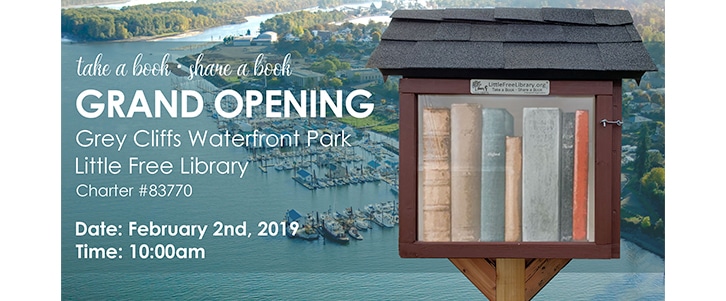 little free library promotion