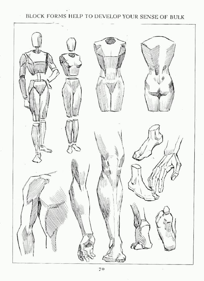 How to Draw the Human Figure an Anatomical Approach 