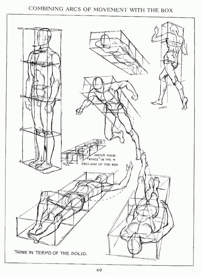 Approaching Anatomy: Loomis | Sessions College