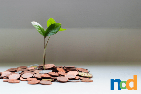 Plant sprouting from a pile of coins