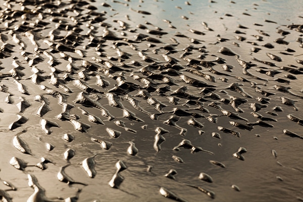 sandscapes-wagner-behance