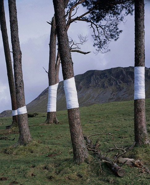 Installations in Surrey, Hampshire and Wales by Zander Olsen use the natural landscape to create stunning and surprising pieces.