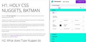 type nugget user interface